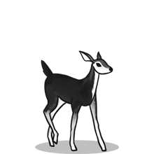 无需注册登录的{固定网站名称23}